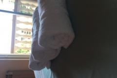 Appartementen Meri Appartement 2 – A 6+1 foto 5