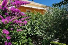 Appartement Mara Appartement 1 foto 1