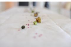 Appartementen Josip Jaz Appartement 1 foto 4