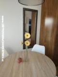 Vakantiehuis Roema Appartement 2 – A studio foto 3