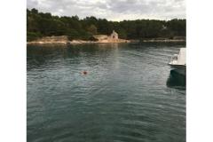 Appartement Zaga Appartement 2 – Didica foto 1