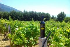 Vakantiehuis Ratac**** Appartement 1 – 2xA5 foto 1