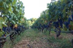 Vakantiehuis Ratac**** Appartement 1 – 2xA5 foto 4