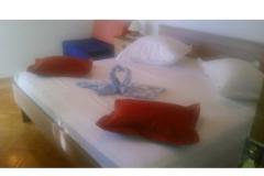 Villa Nikola Appartement 1 – Rina foto 5