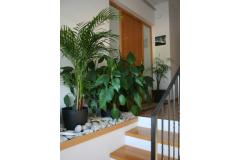 Appartementen Katarina Appartement 1 – Ap1 foto 1