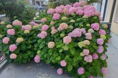 Appartementen Rosi Appartement 1 – SMOKVA foto 5