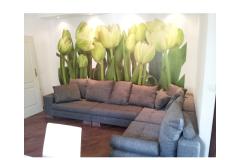 Appartement Estera Appartement 1 foto 1