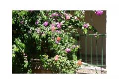 Appartementen Majica Appartement 2 – A6 foto 4