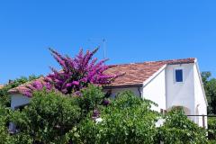 Vakantiehuis - Appartement Milka Appartement 1 – Kuća foto 2