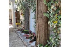 Appartementen Ela Appartement 2 – A1 foto 4