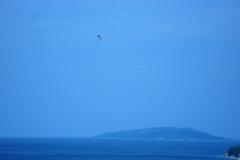 Appartementen Ivana  Appartement 1 – Apartman foto 1