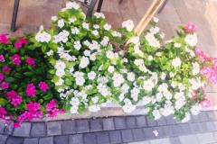 Appartementen Vesna Appartement 3 – A3 foto 4