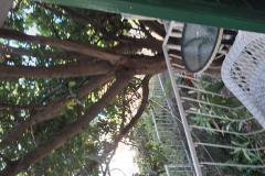 Dijana Beach Huis Appartement 1 – Villa Dija foto 5