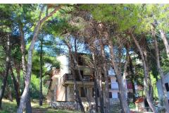 Appartementen Floris Ivan Dolac Appartement 3 – 9 guests foto 4