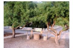 Appartementen Mirjana  Appartement 3 – A2 foto 4