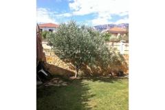 Appartementen Vito Appartement 1 – Bartul foto 2