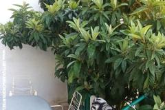 Appartementen Duboka Appartement 1 – A2 foto 4