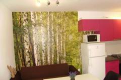 Apartaments Samanic Appartement 2 – Apartman 4 foto 2