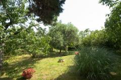 Sea Dream Appartement 1 – Sea Dream foto 3