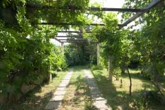 Sea Dream Appartement 2 – Sea Dream2 foto 3