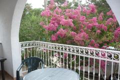 Appartementen Zana Appartement 3 – A3+1 foto 5