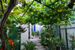 Appartementen Vinea Appartement 2 – A2 foto 2