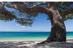 Vila Ventus Appartement 3 – Studio APP foto 1