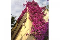 Vila Ventus Appartement 3 – Studio APP foto 4