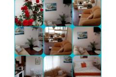 Villa Appartementen Sumić Appartement 1 – GREEN OASE foto 4