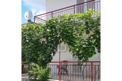 Slavko Šain Appartement 4 – kuča foto 4