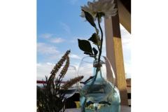 Appartementen Mirjana Appartement 2 – Mali ap foto 1