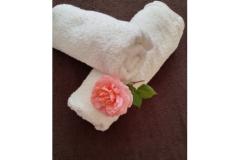 Appartementen Zeneral Appartement 2 – App. 2 foto 5