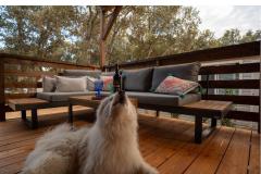 Huis Sookie Appartement 1 – H. Sookie foto 2