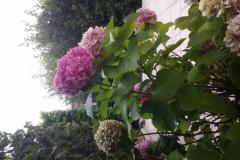 Appartementen Katarina Appartement 3 – Apartman3 foto 1