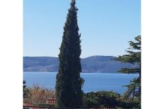 Appartementen Sokolić Appartement 1 foto 1