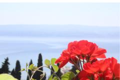 Appartementen Rubić Appartement 3 – Apartman 4 foto 3