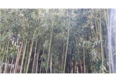 Appartementen &amp; rooms  Raspor Slaapkamer 2 – soba 0 foto 3