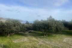 Sun Vila Appartement 4 – Kuća foto 1