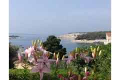 Appartementen Zeljka Appartement 1 – A foto 4