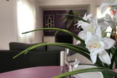 Appartementen Luna Appartement 4 – 7 foto 1