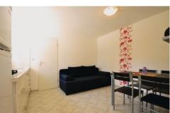 Appartementen Petrović Appartement 2 – Apartman 3 foto 1