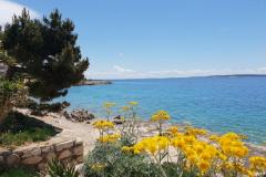 Stargo Appartementen Appartement 1 – Yellow foto 3