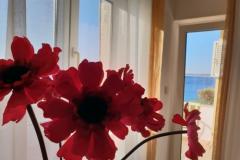 Stargo Appartementen Appartement 2 – Blue foto 2