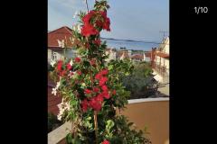 Appartementen Iva Appartement 3 – App 7+1 foto 2