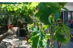 Appartementen Danica Appartement 1 – APP 1 foto 2