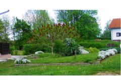 Blazenka Hodak Appartement 2 – APP 2 foto 4