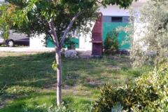 Appartement Sumić Appartement 1 – Vespa foto 2