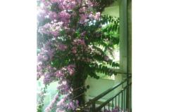 Appartementen Kelava Željko Appartement 4 – 2 foto 5