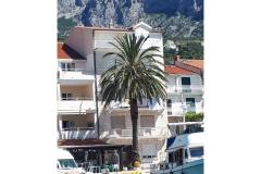 Palm tree apartman Appartement 1 – Palm tree foto 1