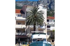 Palm tree apartman Appartement 2 – Palma foto 2